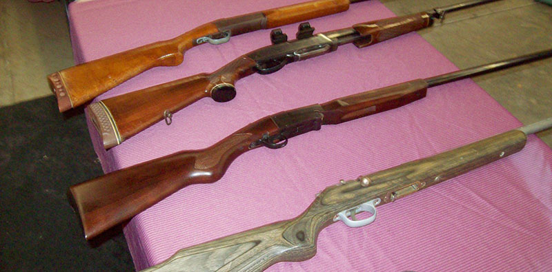 Gun auction sales in Northern WV